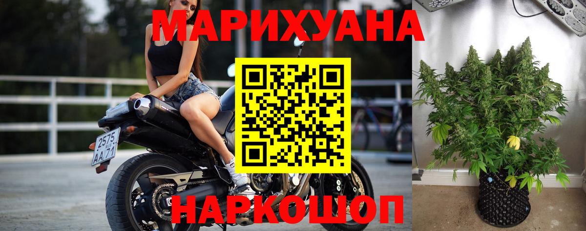 Каннабис индика Петрозаводск